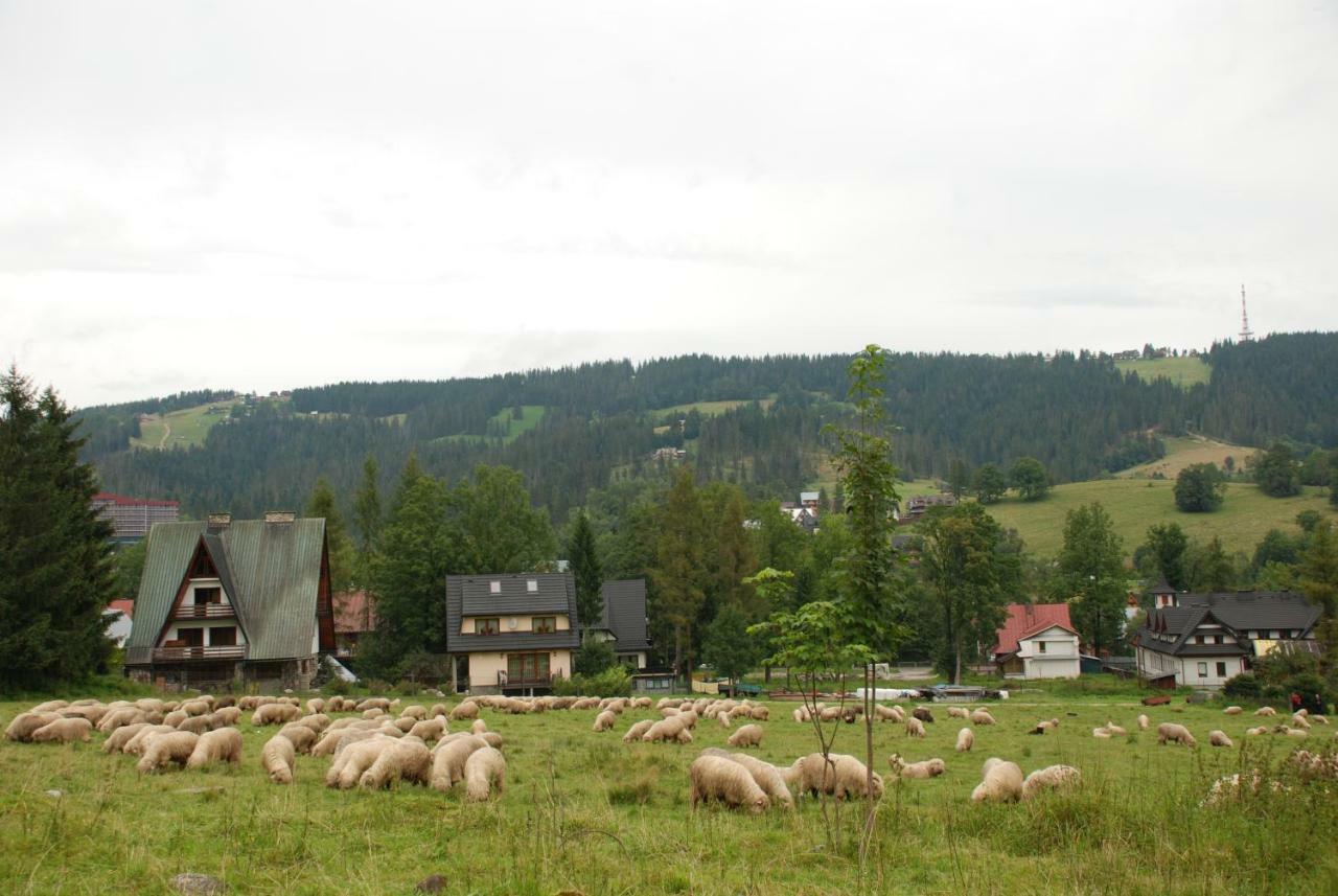 Domek Na Wierchu I Apartament Na Wierchu Zakopane Kültér fotó